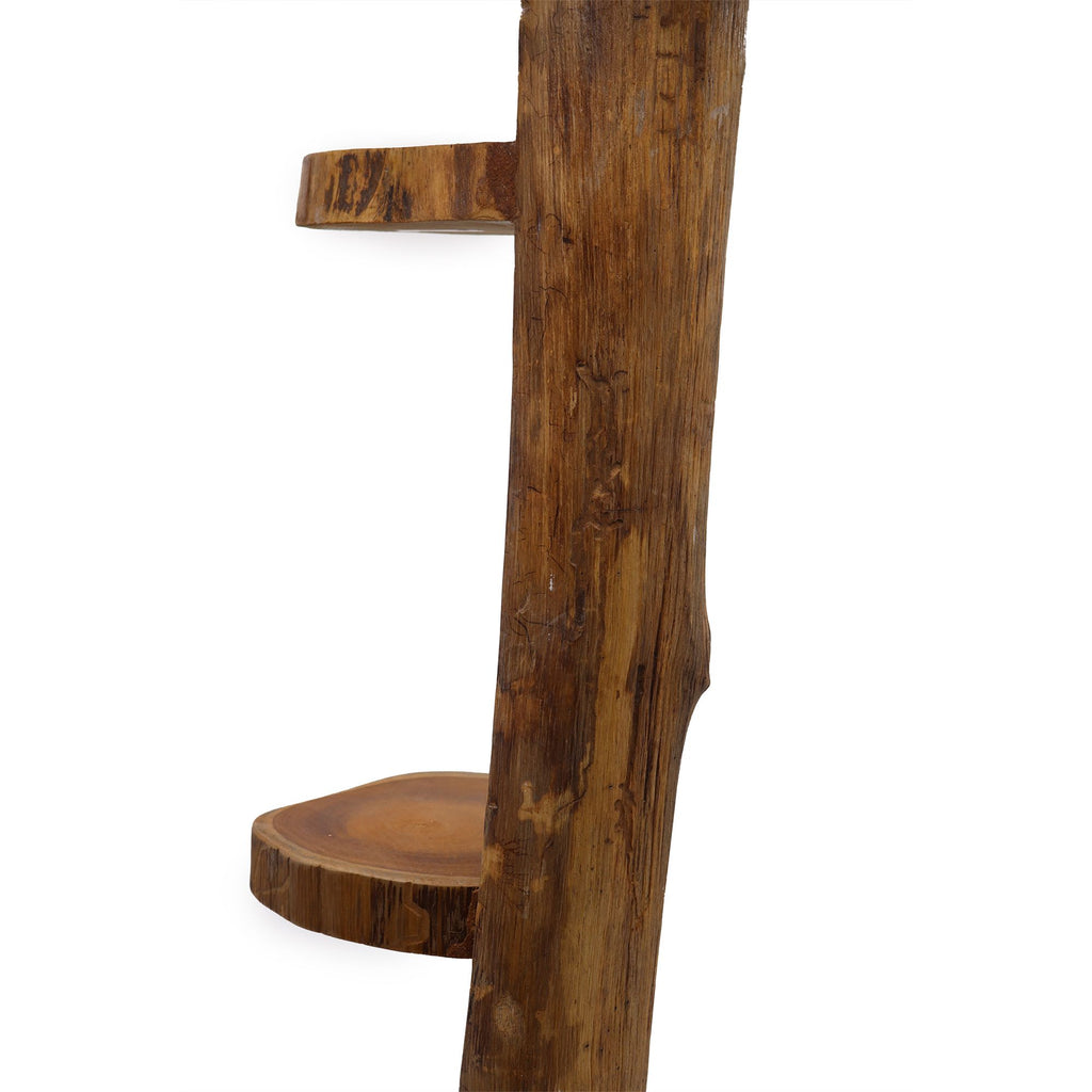 Natural Teak Log Shelf Display 3 Shelves 100cm high